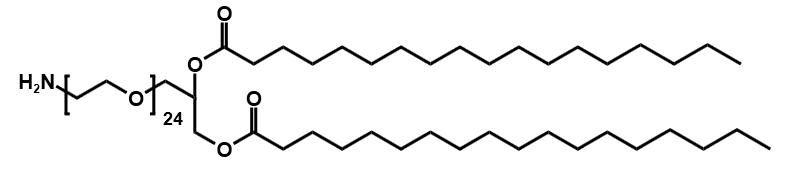 NH2-PEG24-DSG