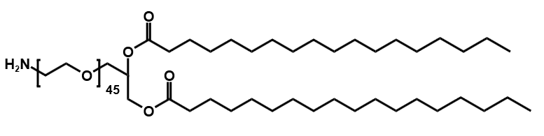 DSG-PEG45-NH2