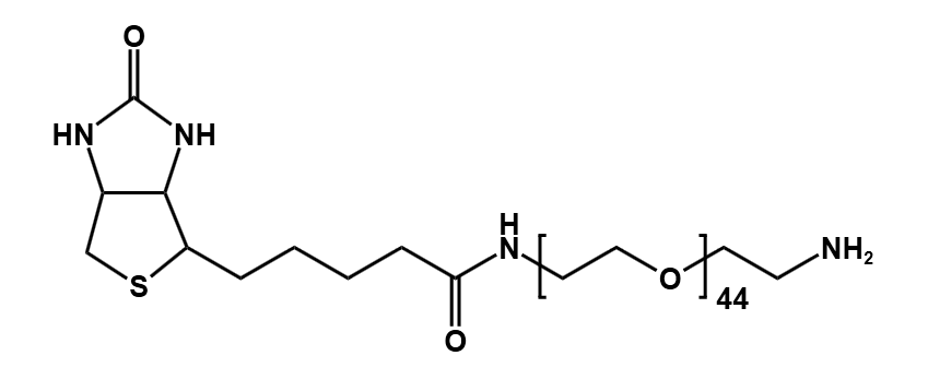 (+)-Biotin-PEG44-CH2CH2NH2