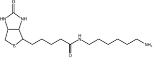 polyethylene terephthalate glycol
