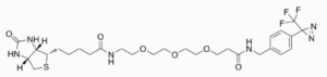 Biotin-PEG3-CONH-Ph-CF₃-Diazirine | Biotin-PEG-Diazirine Crosslinker | Photoaffinity Labeling Reagent