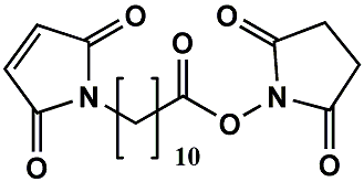 Maleimide-(CH2)10-COONHS; KMUS