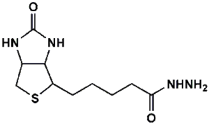 dmg-peg 2000 molecular weight
