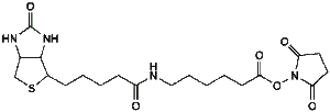 peg45