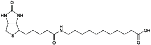dmg-peg 2000 molecular weight