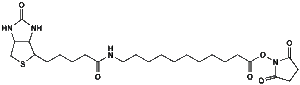 dmg-peg 2000 molecular weight