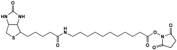 2012-08-15_200544EQKLQW.gif dmg-peg 2000 molecular weight