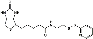 dmg-peg 2000 molecular weight