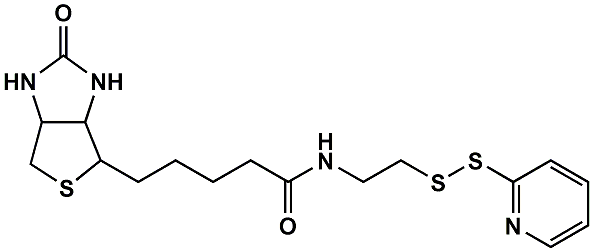 (+)-Biotin-NH-CH2CH2-SPDP