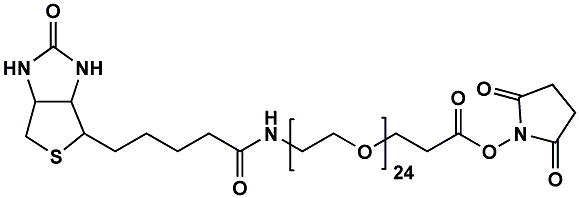 (+)-Biotin-PEG24-NHS ester
