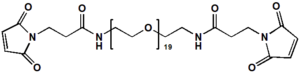 polydisperse