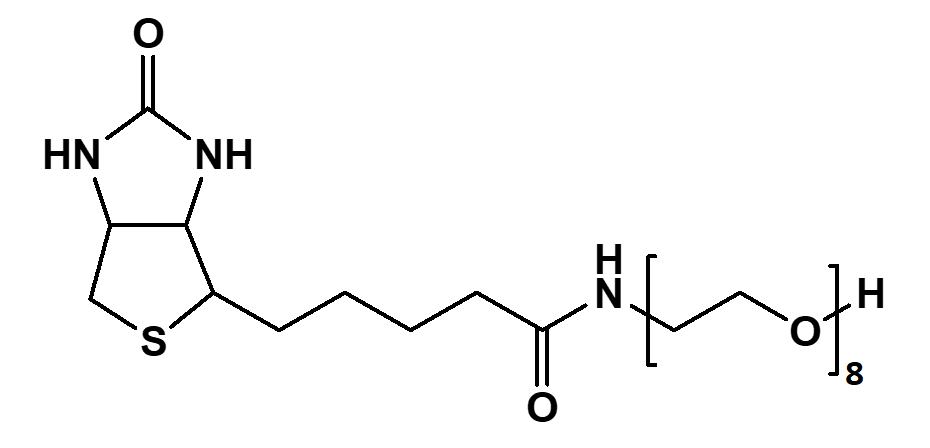 (+)-Biotin-PEG8-OH