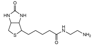 peg45