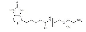 polyethylene glycol brand name