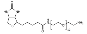 polyethylene glycol para que sirve