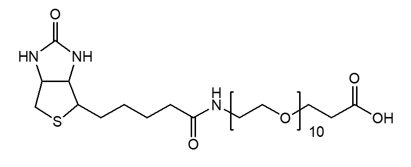(+)-Biotin-PEG10-CH2CH2COOH