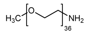 monolayer