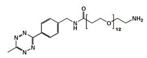 biotinylation