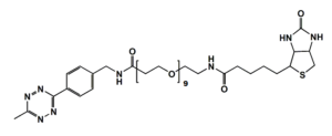 self-assembled monolayer