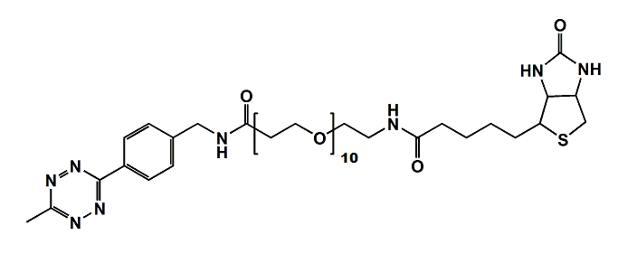 Methyltetrazine-CH2NHCO-PEG10-Biotin