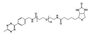self-assembled monolayer