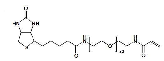Biotin-NH-PEG23-Acrylamide