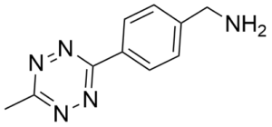 biotinylation
