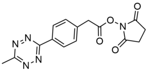 biotinylation
