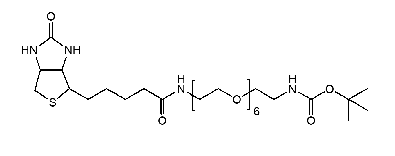 Biotin-PEG6-CH2CH2NHBoc