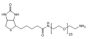 vancomycin-water inject polyethylene glycol