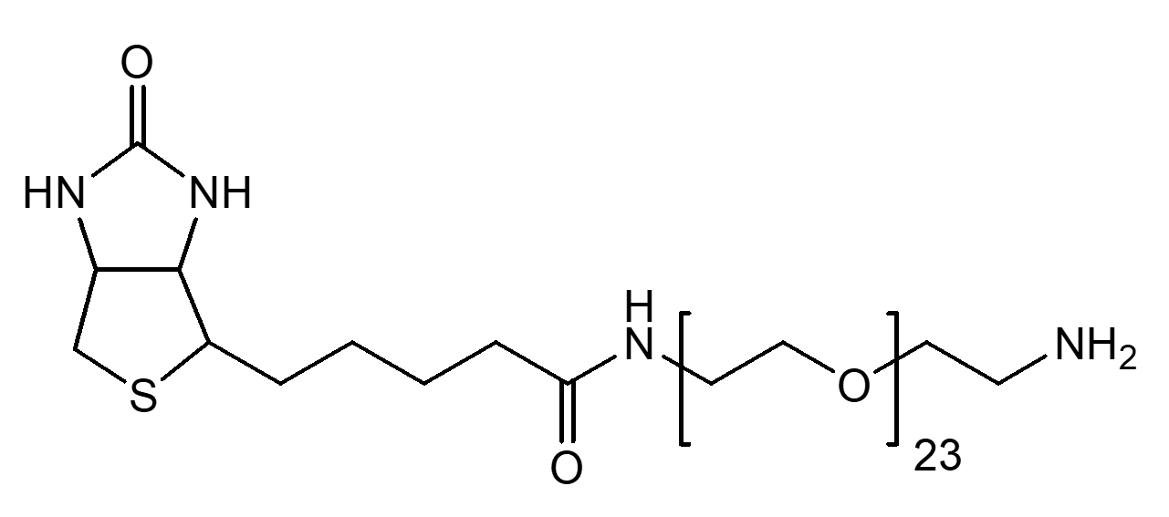 (+)-Biotin-PEG23-CH2CH2NH2