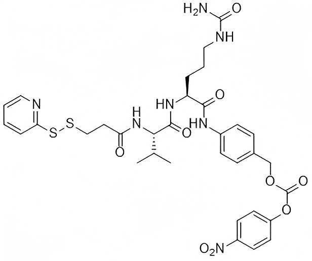 51054_SPDP-Val-Cit-PAB-PNP