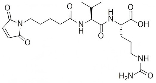 51055_MC (C5)-Val-Cit