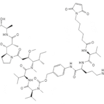 VcMMAE